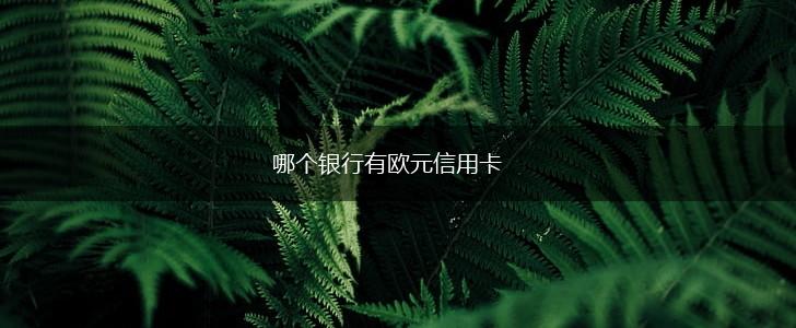 哪个银行有欧元信用卡,第1张