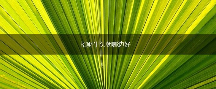 招财牛头朝哪边好,第1张