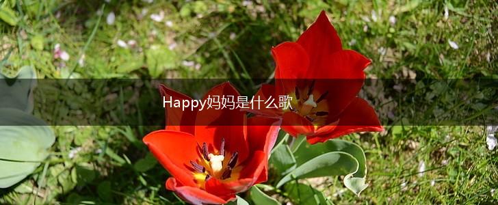 Happy妈妈是什么歌,第1张