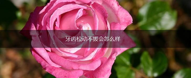 牙齿松动不拔会怎么样,第1张