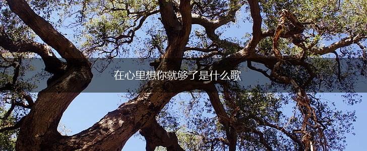 在心里想你就够了是什么歌,第1张