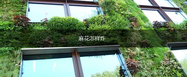 麻花怎样炸,第1张