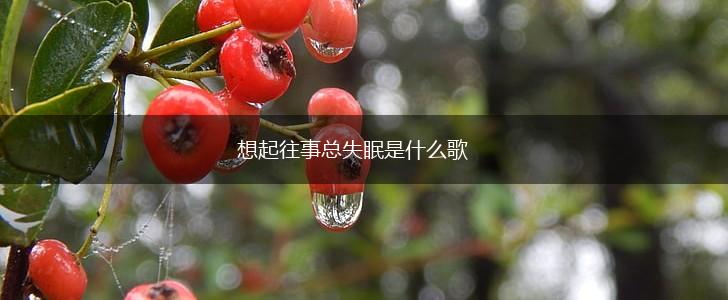 想起往事总失眠是什么歌,第1张