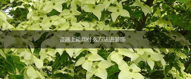 瓷器上能用什么方法进装饰,第1张