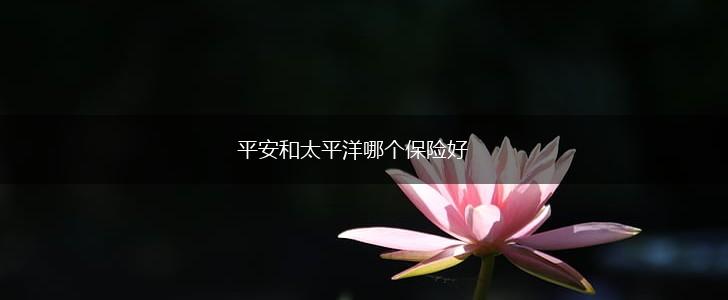 平安和太平洋哪个保险好,第1张