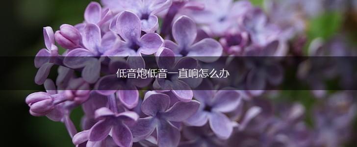 低音炮低音一直响怎么办,第1张