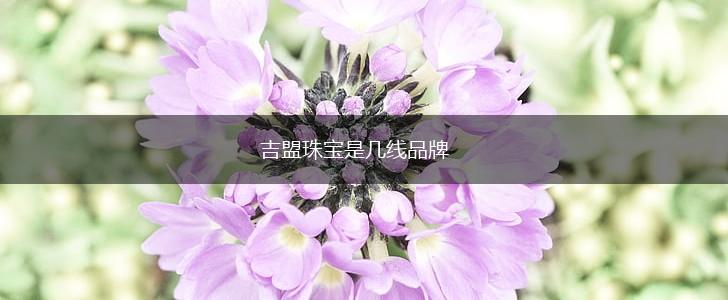 吉盟珠宝是几线品牌,第1张