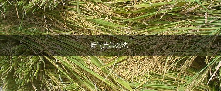 暖气片怎么洗,第1张