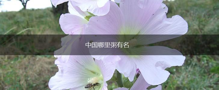中国哪里粥有名,第1张