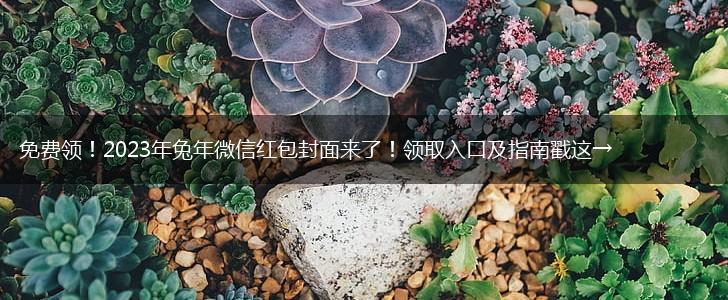 免费领！2023年兔年微信红包封面来了！领取入口及指南戳这→,第1张