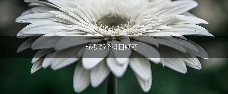 成考哪个科目好考,第1张