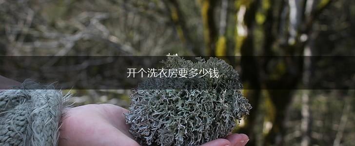 开个洗衣房要多少钱,第1张