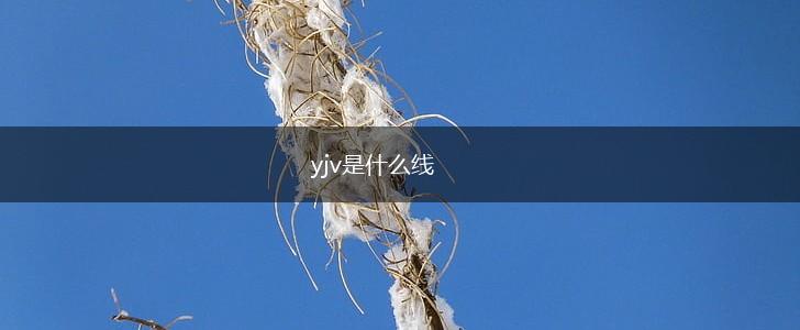 yjv是什么线,第1张