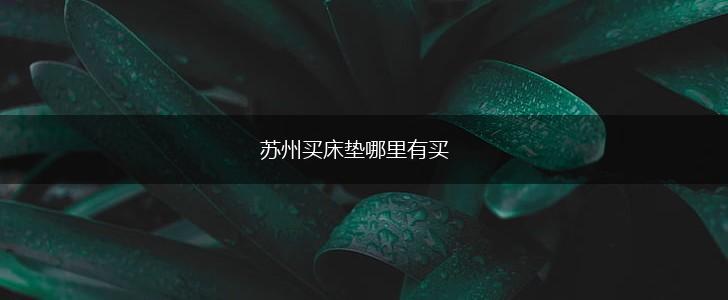 苏州买床垫哪里有买,第1张