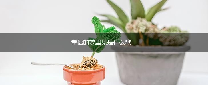 幸福的梦里见是什么歌,第1张