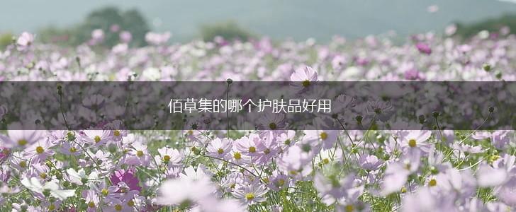 佰草集的哪个护肤品好用,第1张