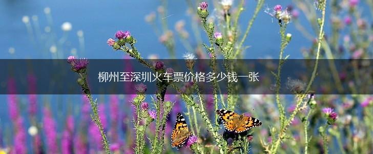 柳州至深圳火车票价格多少钱一张,第1张