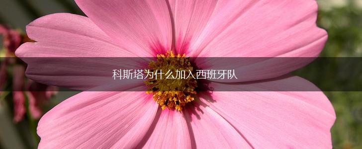 科斯塔为什么加入西班牙队,第1张