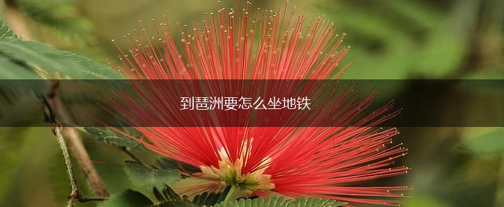 到琶洲要怎么坐地铁,第1张