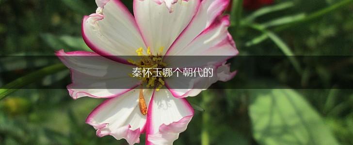 秦怀玉哪个朝代的,第1张