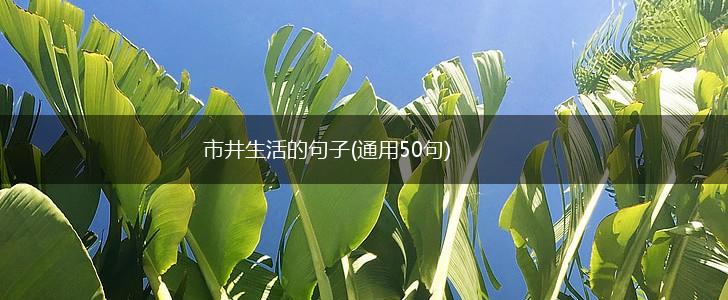 市井生活的句子(通用50句),第1张