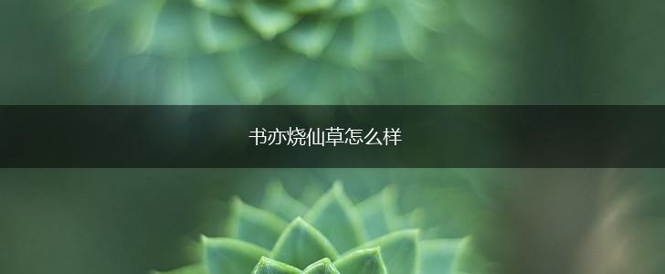 书亦烧仙草怎么样,第1张