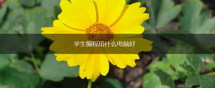 学生编程用什么电脑好,第1张