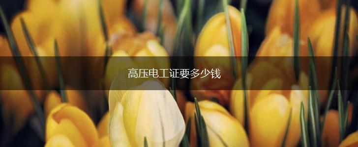 高压电工证要多少钱,第1张