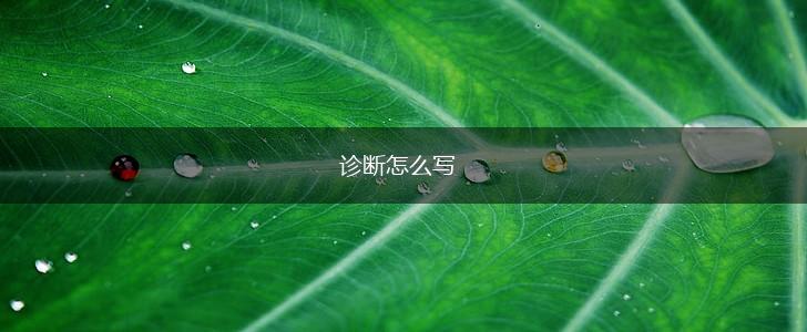 诊断怎么写,第1张