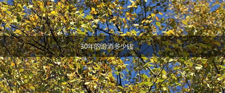30年的汾酒多少钱,第1张