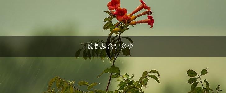 废铝灰含铝多少,第1张