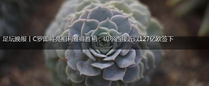 足坛晚报丨C罗即将亮相利雅得胜利,切尔西接近以127亿欧签下恩佐,第1张 足坛晚报丨C罗即将亮相利雅得胜利,切尔西接近以127亿欧签下恩佐,第1张