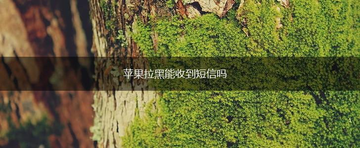 苹果拉黑能收到短信吗,第1张