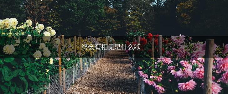 终会有相见是什么歌,第1张