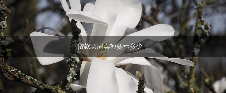 贷款买房卖掉要亏多少,第1张