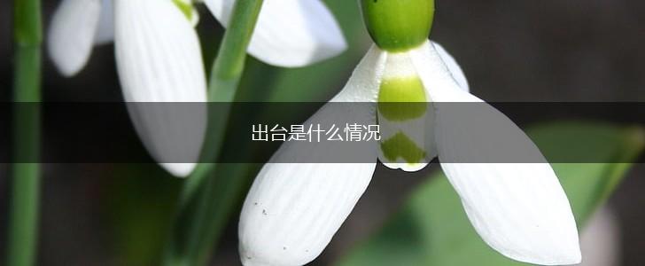 出台是什么情况,第1张
