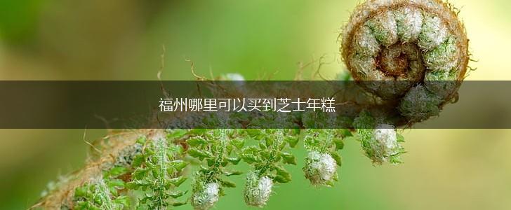 福州哪里可以买到芝士年糕,第1张
