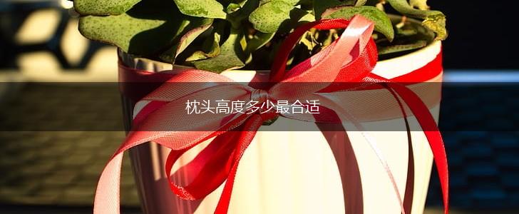 枕头高度多少最合适,第1张