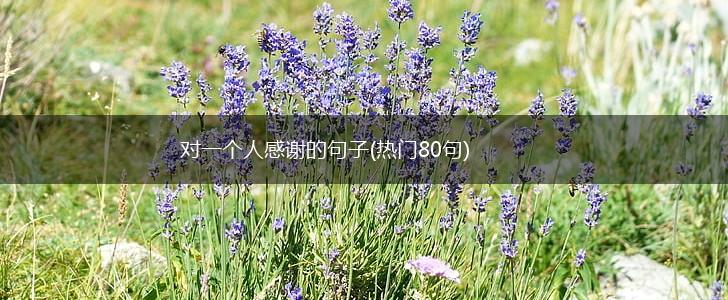 对一个人感谢的句子(热门80句),第1张