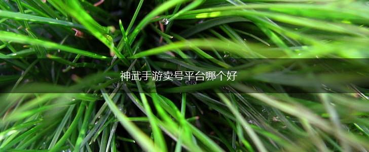 神武手游卖号平台哪个好,第1张