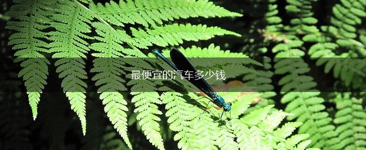 最便宜的汽车多少钱,第1张