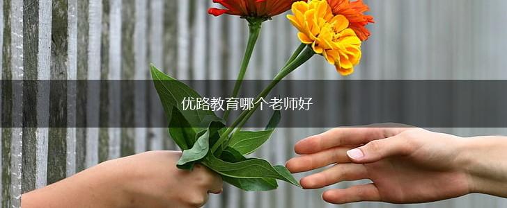 优路教育哪个老师好,第1张