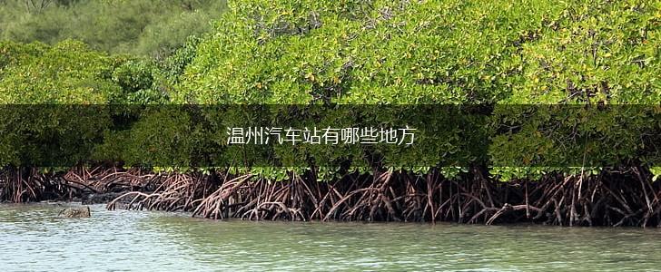 温州汽车站有哪些地方,第1张