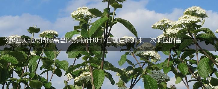 今起四天北京持续高温闷热 预计8月7日前后将迎来一次明显的雷雨天气,第1张