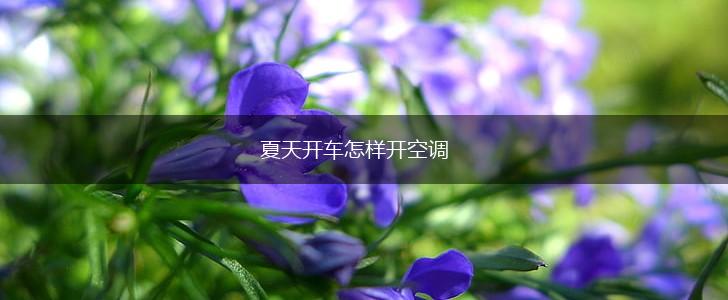 夏天开车怎样开空调,第1张