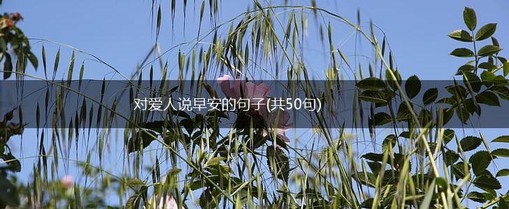 对爱人说早安的句子(共50句),第1张