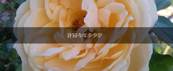 许冠今年多少岁,第1张