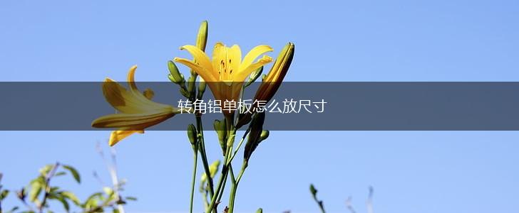 转角铝单板怎么放尺寸,第1张