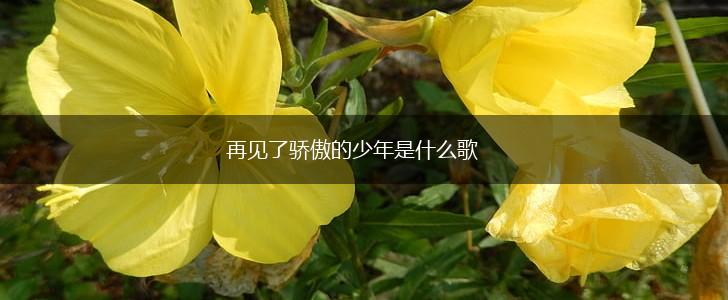 再见了骄傲的少年是什么歌,第1张