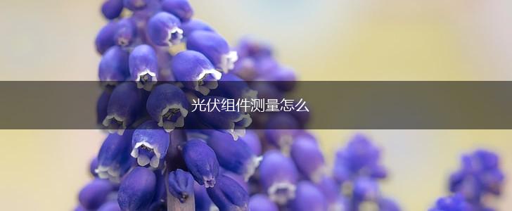 光伏组件测量怎么,第1张